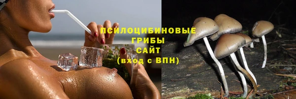 ALPHA PVP Баксан