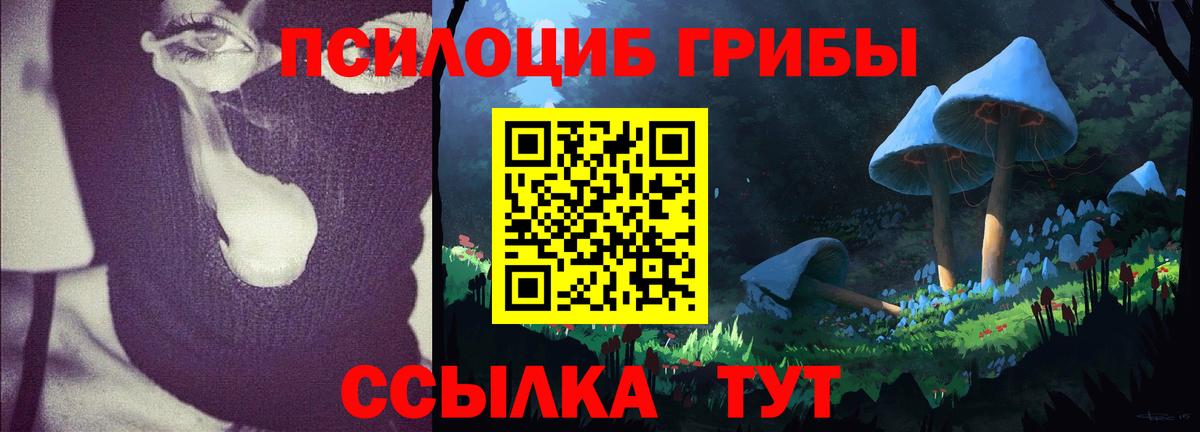 Галлюциногенные грибы Psilocybe Лыткарино