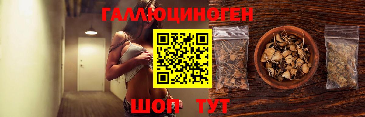 Лыткарино  как найти наркотики  Вход с VPN  Псилоцибиновые грибы Magic Shrooms 